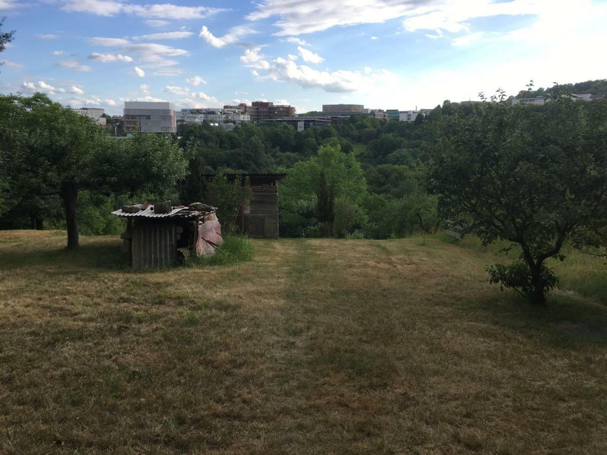 Ruhige Wohnung In Zentraler Lage Tuebingens Exteriér fotografie